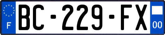 BC-229-FX