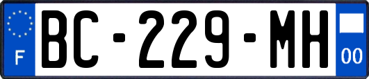 BC-229-MH