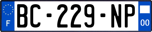 BC-229-NP
