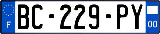 BC-229-PY