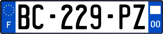 BC-229-PZ
