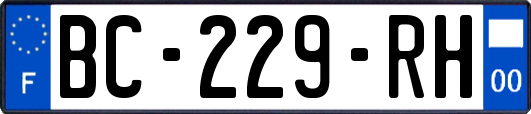 BC-229-RH