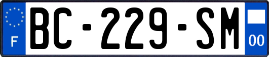 BC-229-SM