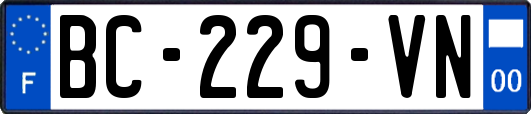 BC-229-VN