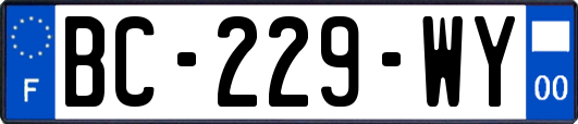 BC-229-WY