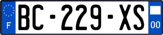 BC-229-XS