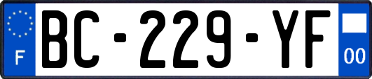 BC-229-YF