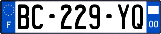 BC-229-YQ