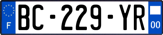 BC-229-YR