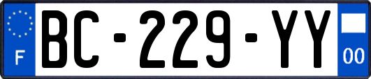 BC-229-YY