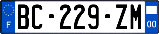 BC-229-ZM