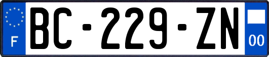 BC-229-ZN