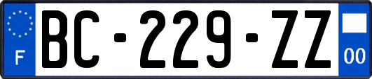 BC-229-ZZ