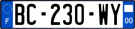 BC-230-WY