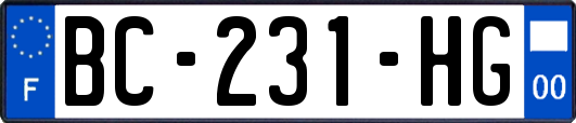 BC-231-HG