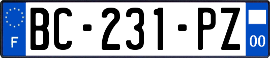 BC-231-PZ