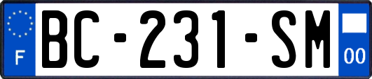 BC-231-SM