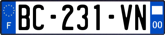 BC-231-VN