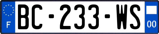 BC-233-WS