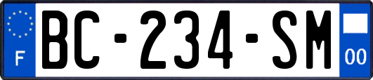 BC-234-SM