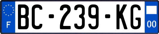 BC-239-KG