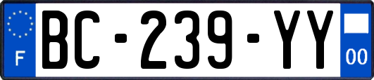 BC-239-YY