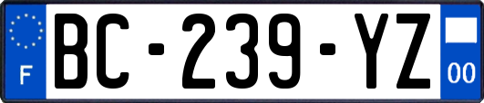 BC-239-YZ