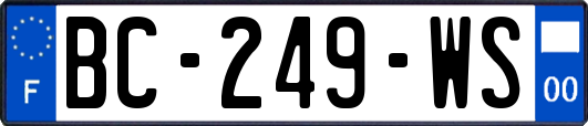 BC-249-WS