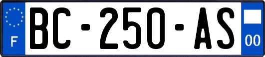 BC-250-AS