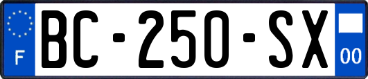 BC-250-SX