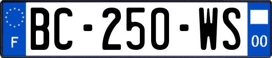 BC-250-WS