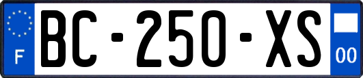 BC-250-XS