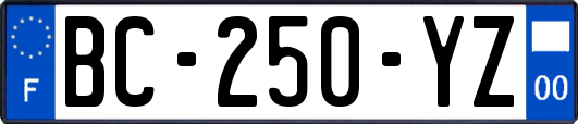 BC-250-YZ