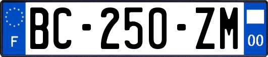 BC-250-ZM