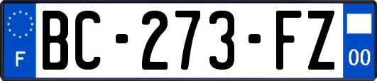 BC-273-FZ