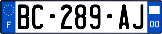 BC-289-AJ