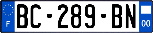 BC-289-BN