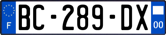 BC-289-DX