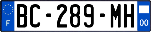 BC-289-MH