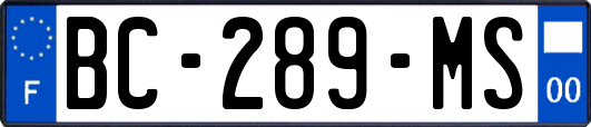 BC-289-MS