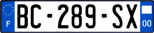 BC-289-SX