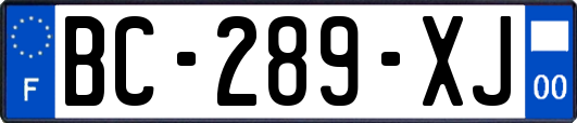 BC-289-XJ