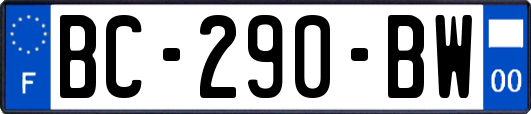 BC-290-BW