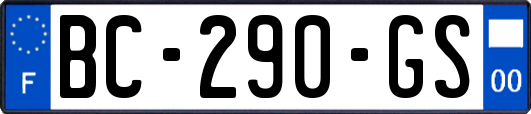 BC-290-GS