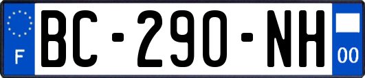 BC-290-NH