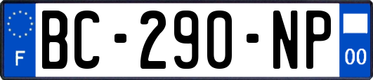BC-290-NP