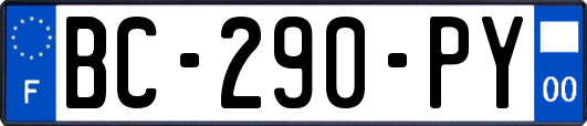 BC-290-PY