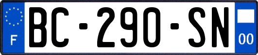 BC-290-SN