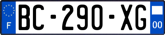 BC-290-XG