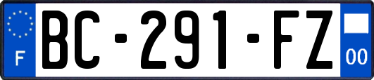 BC-291-FZ